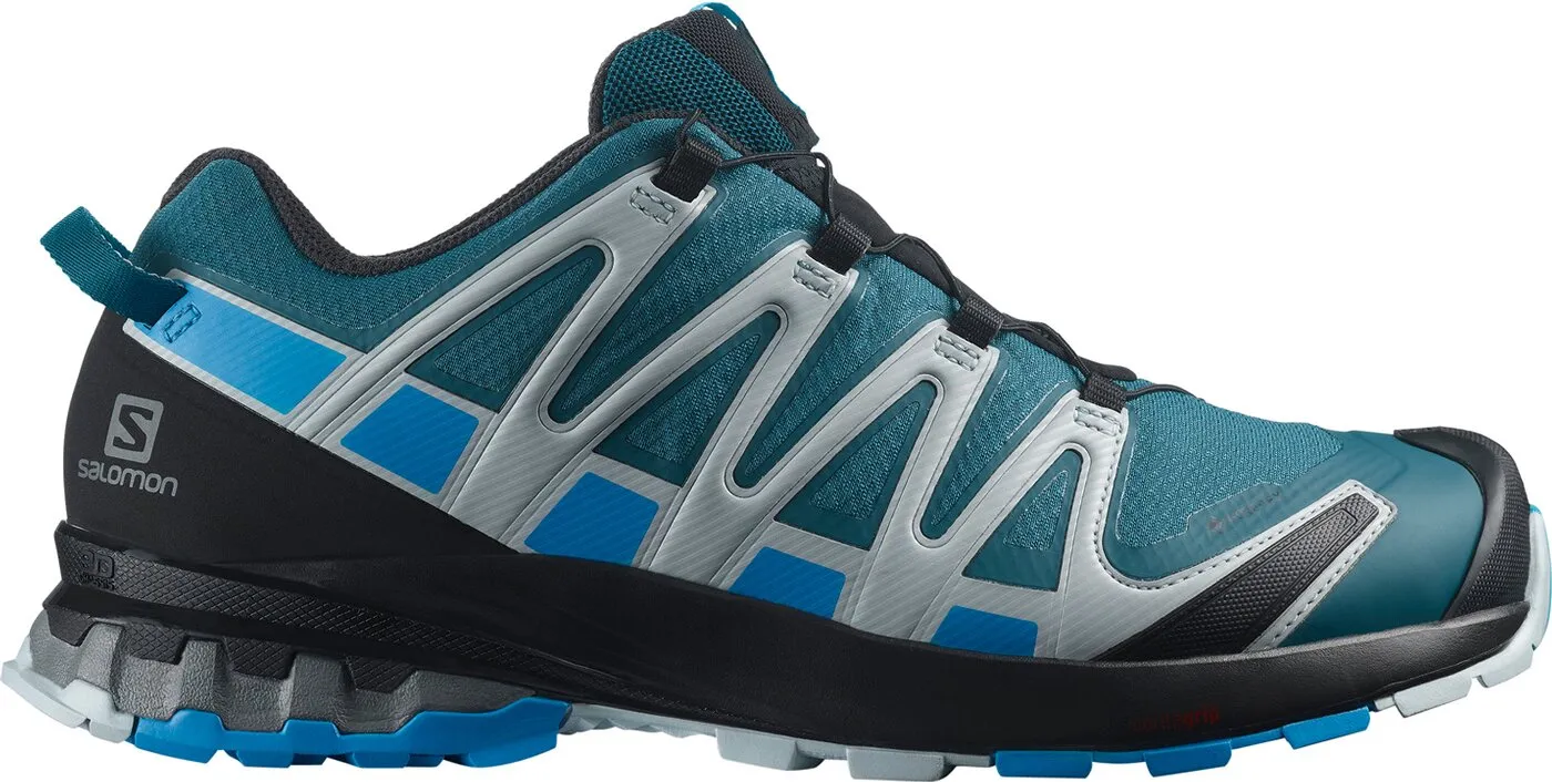 SALOMON SHOES XA PRO 3D v8 GTX Legion/Blith, Herren