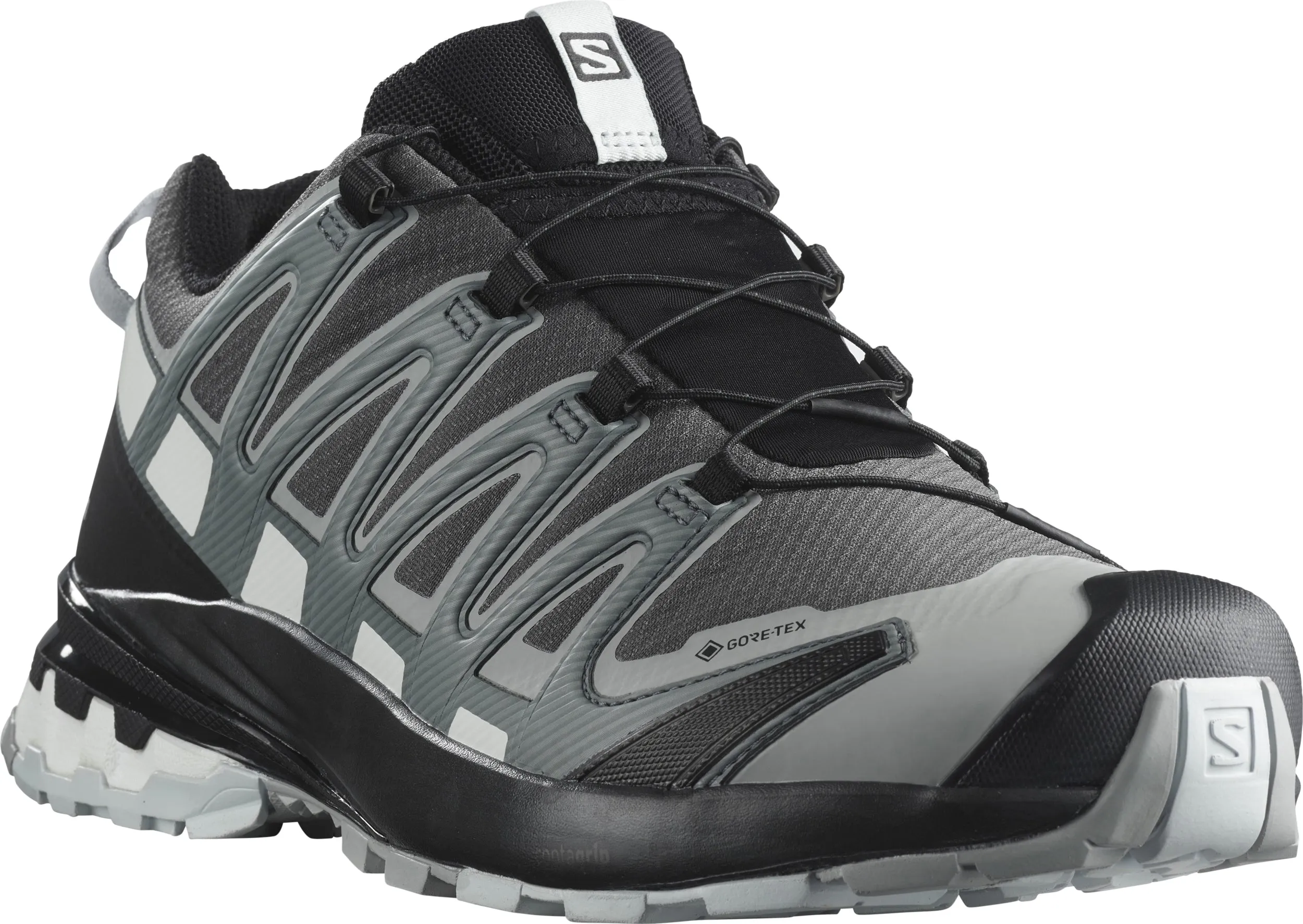 SALOMON SHOES XA PRO 3D v8 GTX Magnet/StoWe